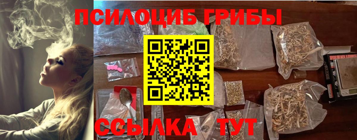 Ивантеевка  цены   Вход с VPN  Псилоцибиновые грибы MAGIC MUSHROOMS 